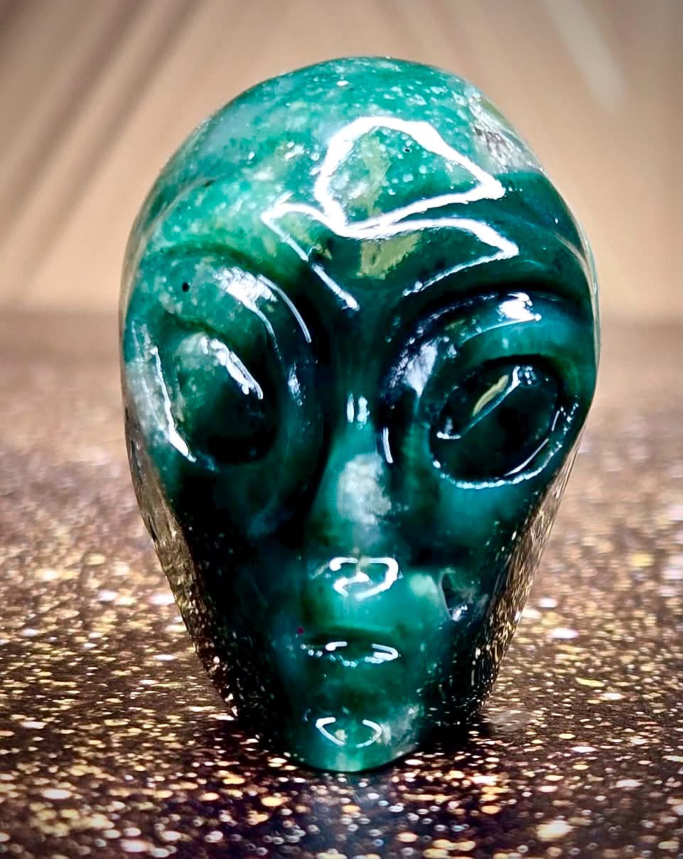 👽Anointed Alien Heads