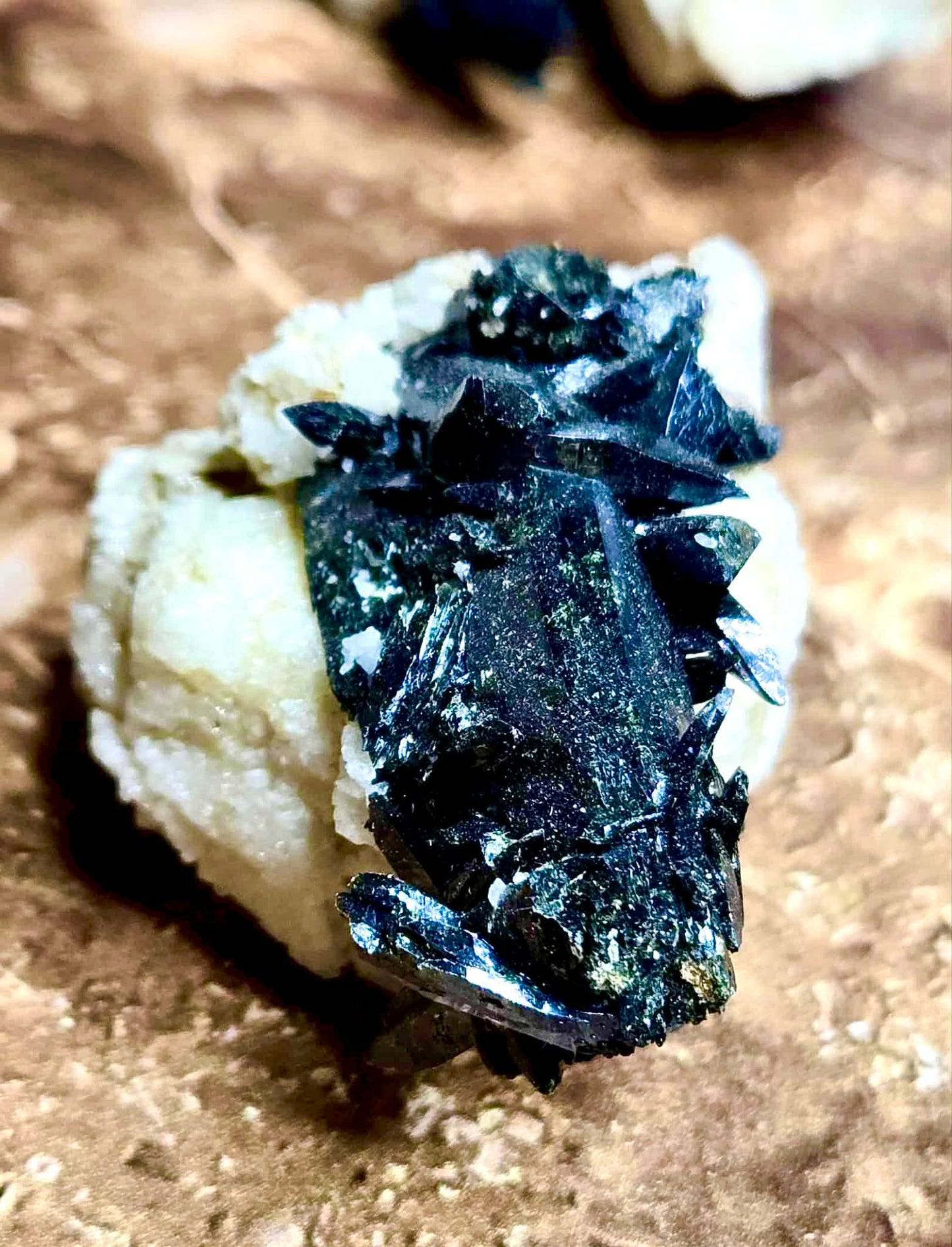 🔮Magic Malawi Specimens