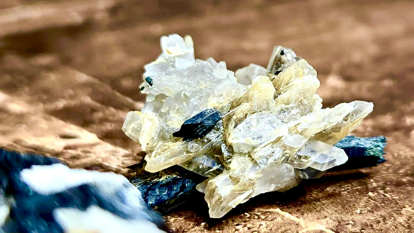 🔮Magic Malawi Specimens