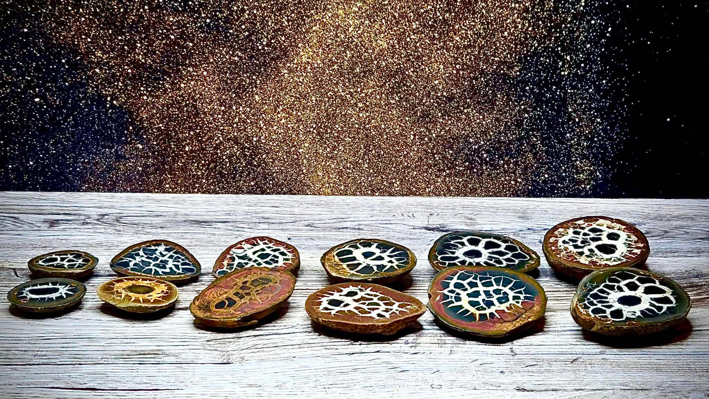 🤑Anchored Wealth Moire Stones