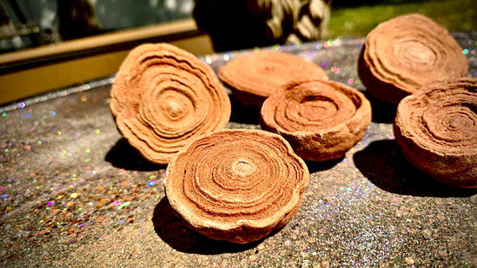 Cinnamon Bun Stromatolite Babies - Rescue Me