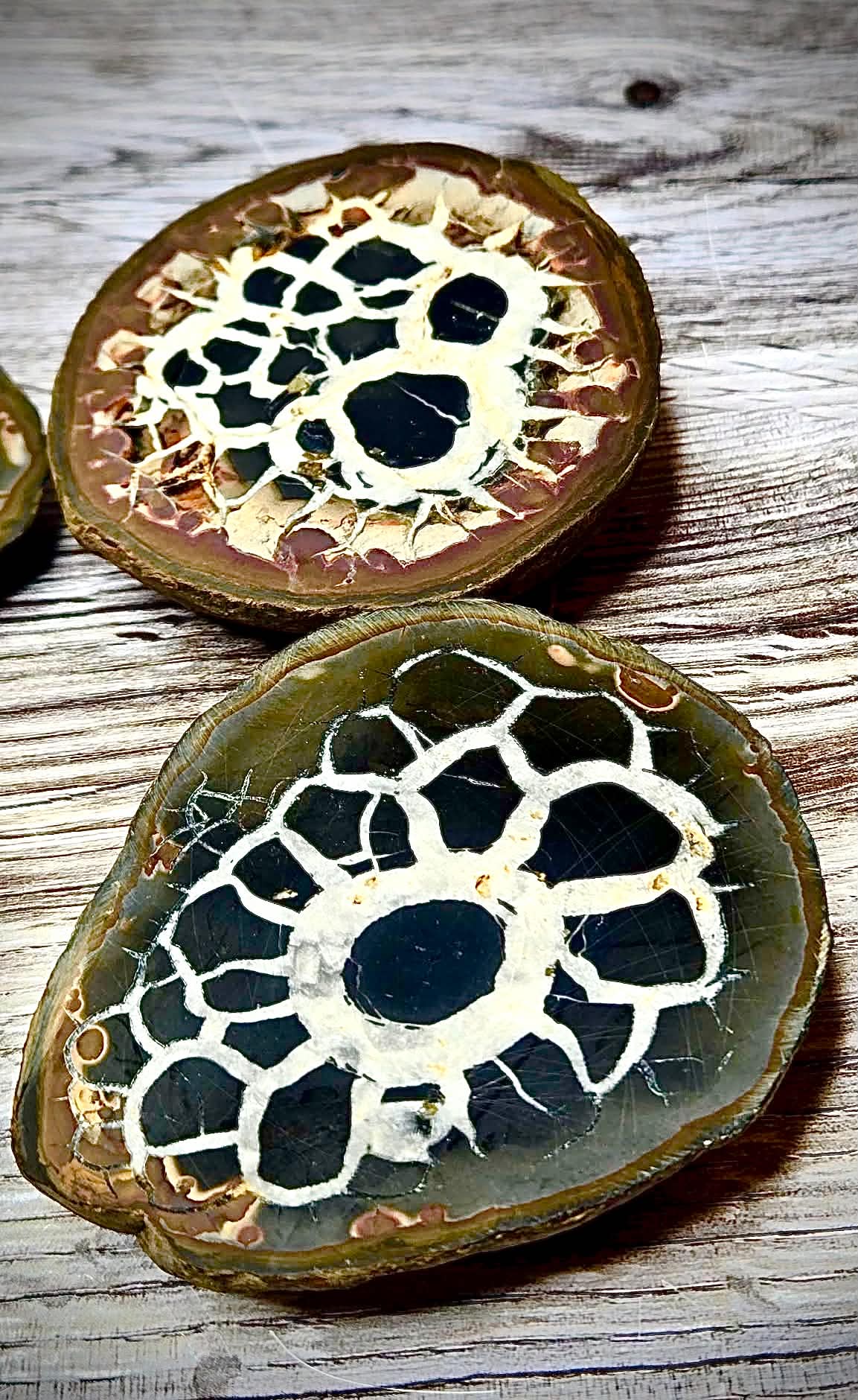 🤑Anchored Wealth Moire Stones